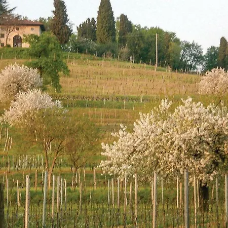 Lägenhet Casa Ribolla *